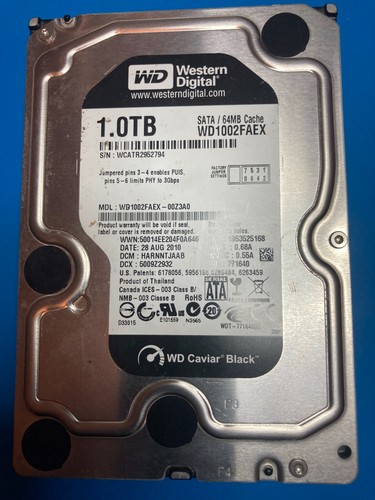 Western digital 1tb disco - digital,