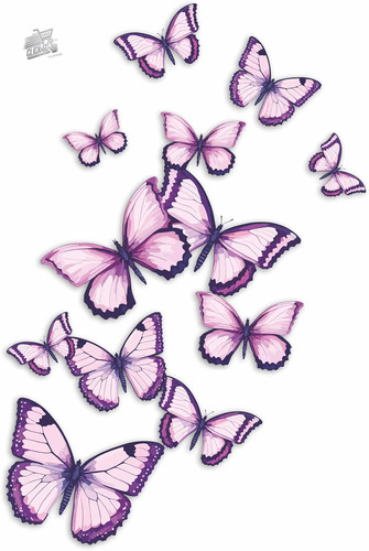 Adesivi farfalle viola muro - adesivi,