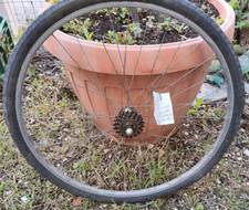 CERCHIO SPORTIVO POSTERIORE DONNA 26x1 3/8 CERCHIO LEGA LEGGERA BIANCHI MOZZO EVEREST RUOTA LIBERA