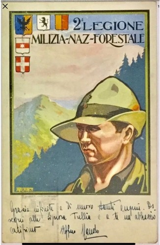 Regio esercito milizia - esercito,