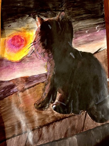 Gatto nero tramonto - gatto,