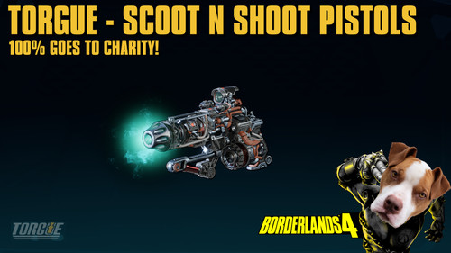 Lvl borderlands pistole - lvl, 60