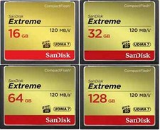 Scheda di memoria SanDisk