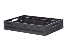 5 pz Cassetta Frutta Piatta