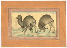 Dipinto Vintage Di Camello