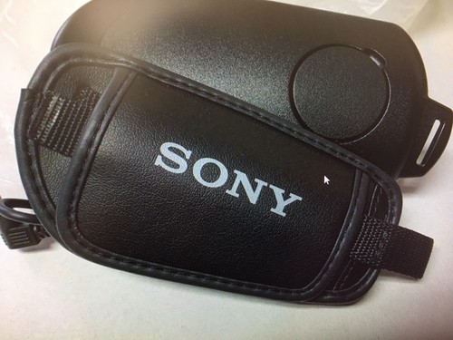 Sony nex fs100 - sony,