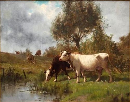 Dipinto olio mucche gatti - , da