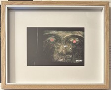 Foto Ritoccata Mario Schifano 