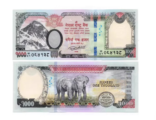 Nepal 1000 rupees 2019 82 - rupees, p