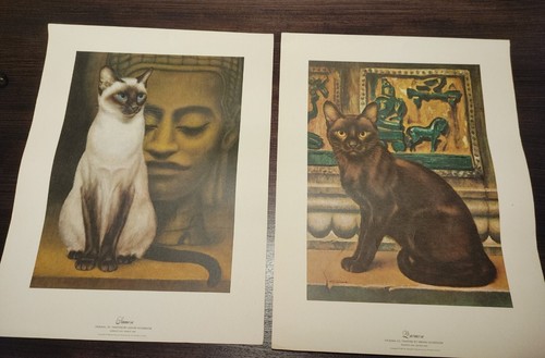 Stampe buddha gatto birmano - stampe,