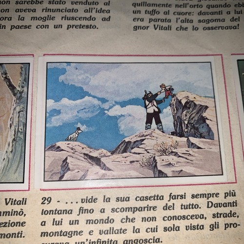 Figurina remi album - figurina, n.29