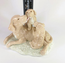 Spanish Valencia dog with