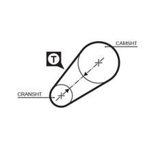 Cinghia distribuzione GATES