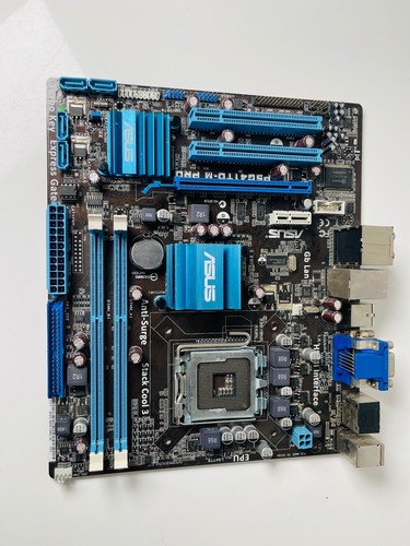 Scheda madre asus - scheda,