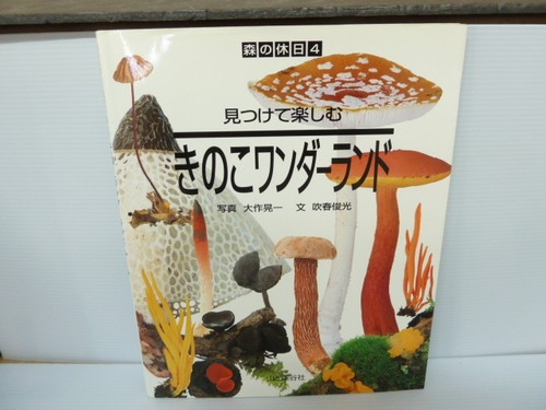 Find and enjoy mushroom - find,