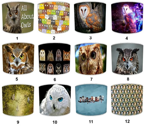 Fatto mano owl birds of - mano,
