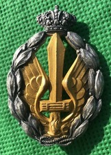 Distintivo regia aeronautica