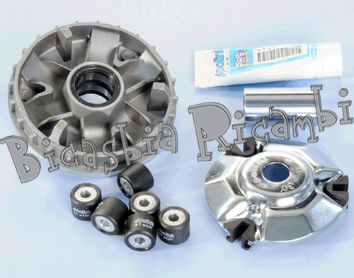 5916 variatore polini - 5916,
