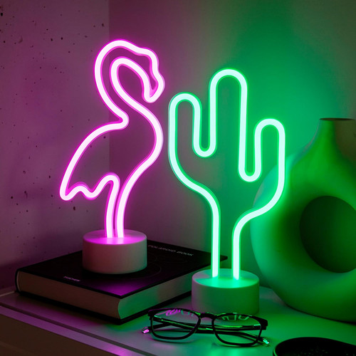 Confezione cactus e - 2,