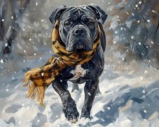 Corso canna stampa opaca 8x10