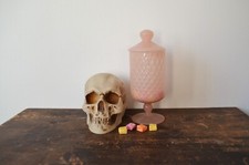 N4860s MAGNIFICA SCATOLA