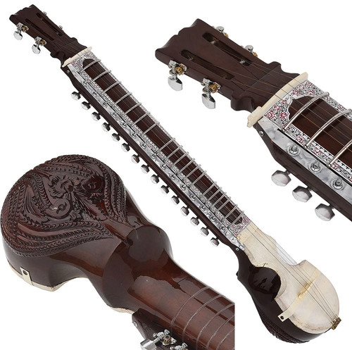 Esraj with bow - esraj, pro