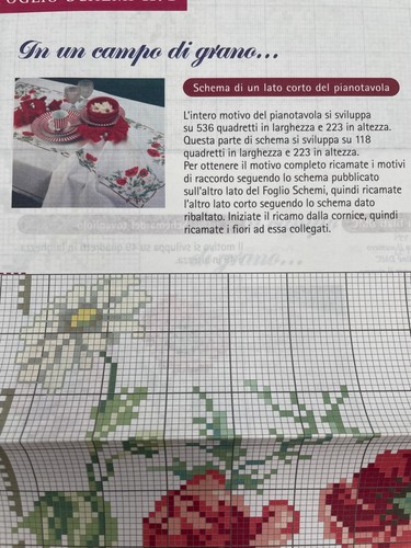 Schema punto croce - campo, di
