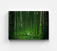 Quadro foresta verde quadro su