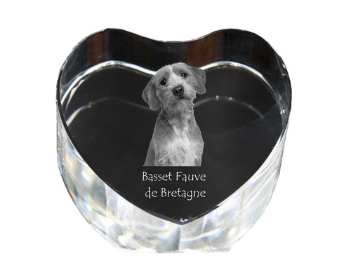 Basset fauve bretagne - de,