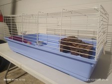 Gabbia Grande per Conigli