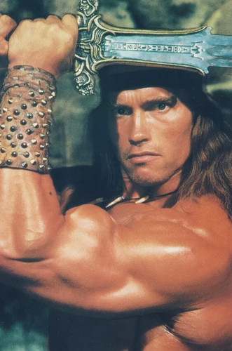 Conan the barbarian arnold - barbarian,