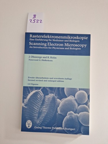 Rasterelektronenmikroskopie - ,