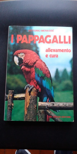 Pappagalli allevamento e - i,