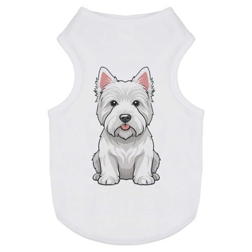 West highland white - highland,