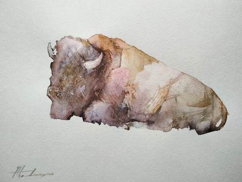 Bisonte animale opera - opera, d'arte