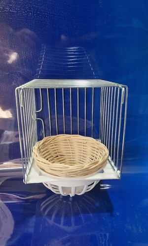 Porta nido uccelli esterno - uccelli,