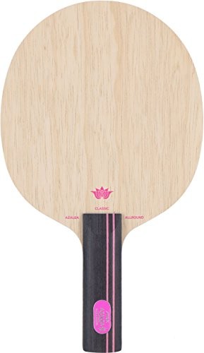 Racchetta ping pong stiga - pong,