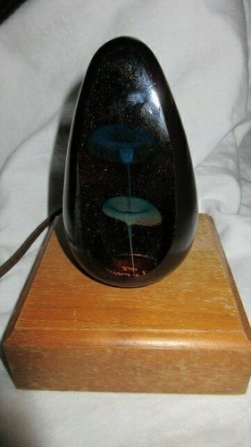 2000 bellissima luce notturna - bellissima,