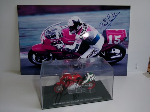 Marco luccinelli 618 - marco,