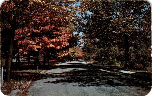 Cartolina sid lane quista - sid, lane,