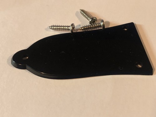 Truss rod cover - per, paul