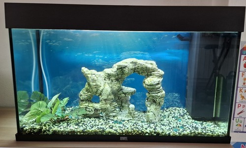 Acquario led juwel rio - rio, 125