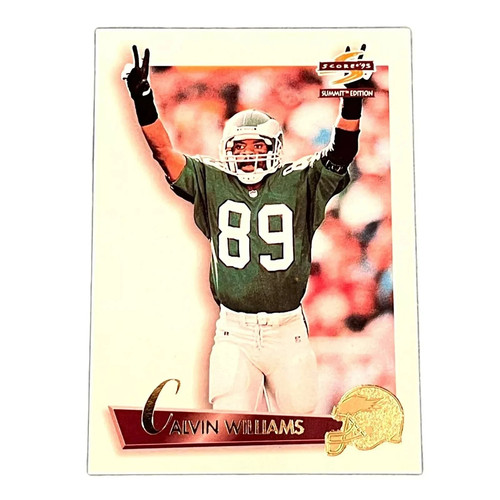 Scheda calcio 1995 score - 1995,