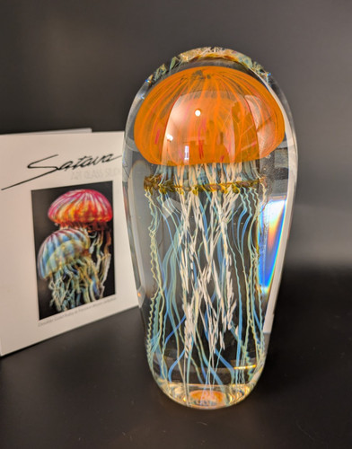 Meduse satava arancioni - 5,