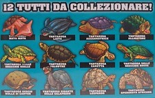 SKIFIDOL ANIMALS CORAZZE