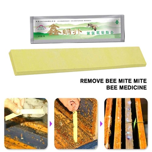 Pezzi striscia acari api - striscia,