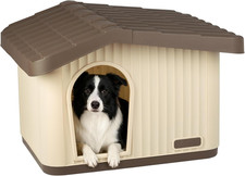 ® Cuccia per Gatti E Cani