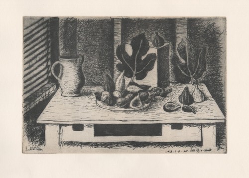 Giuseppe viviani fichi - giuseppe,
