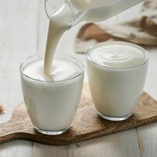 40 GR. KEFIR DI LATTE GRANI