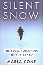 SILENT SNOW: THE SLOW